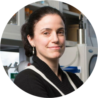 Dr. Elisa Konofagou picture