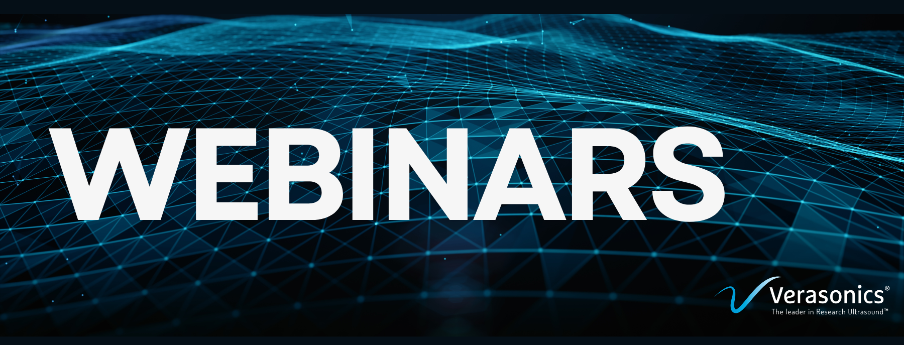 WEBINARS Banner website 2